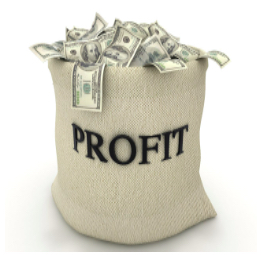 Understanding the Different Types of Profits